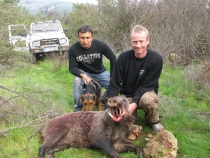 BOAR HUNT 