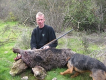 BOAR HUNT 