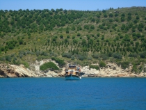 BOAT TOURS 