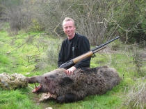 BOAR HUNT 