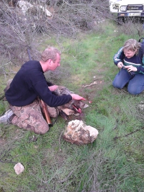 BOAR HUNT 