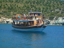 TEKNE TURLARI 