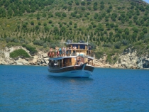 BOAT TOURS 