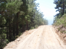 JEEP SAFARİ 