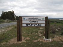 Vıldsvınejagt